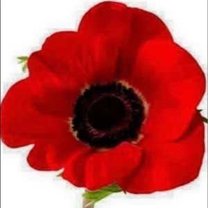 Meet your Posher, Rick